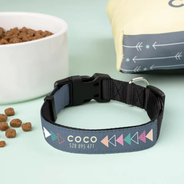 collar-de-perro-personalizado