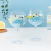 copa-balon-personalizada-gin-tonic6