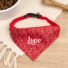 panuelo-bandana-personalizado-mascota